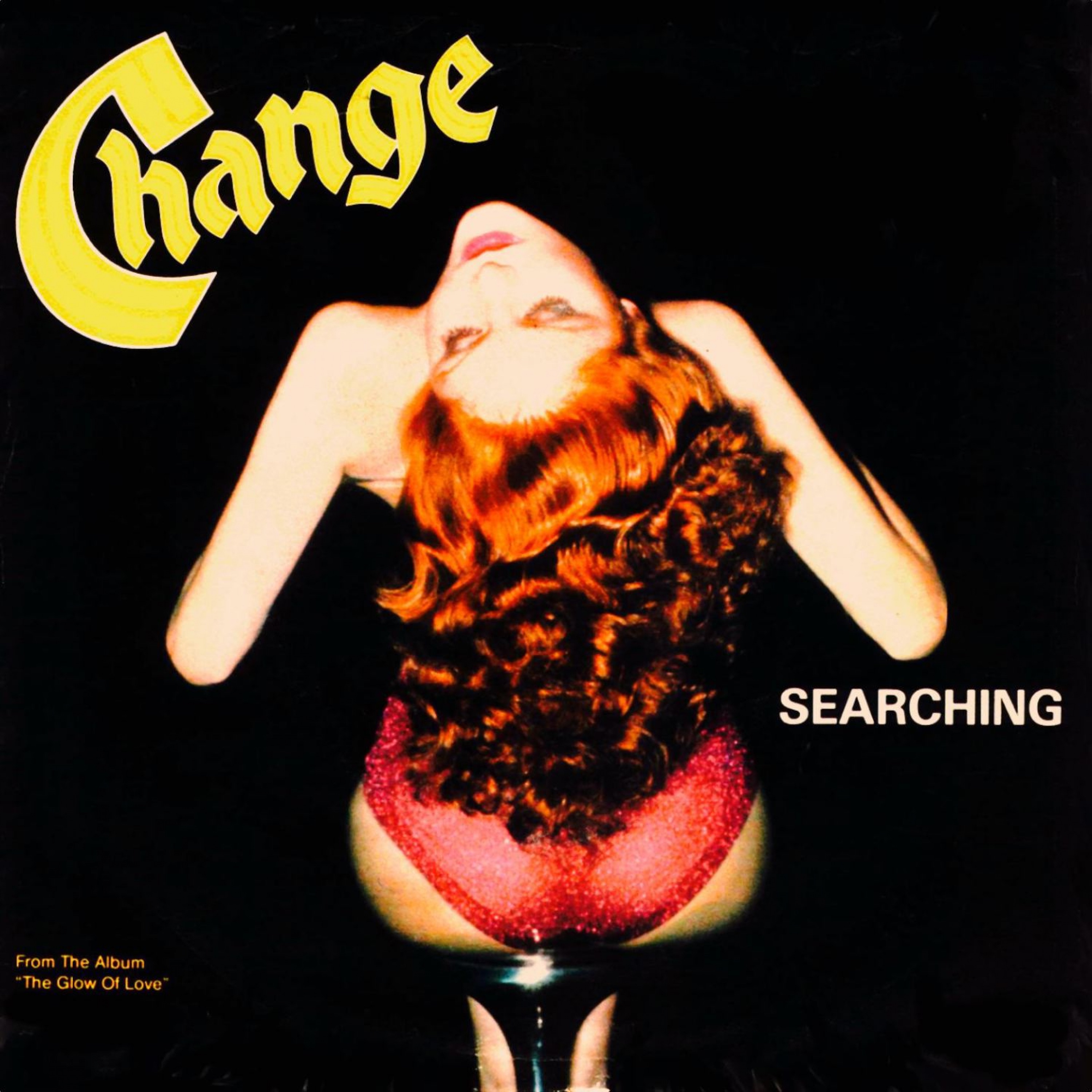 Searching (feat. Luther Vandross) - Single album cover