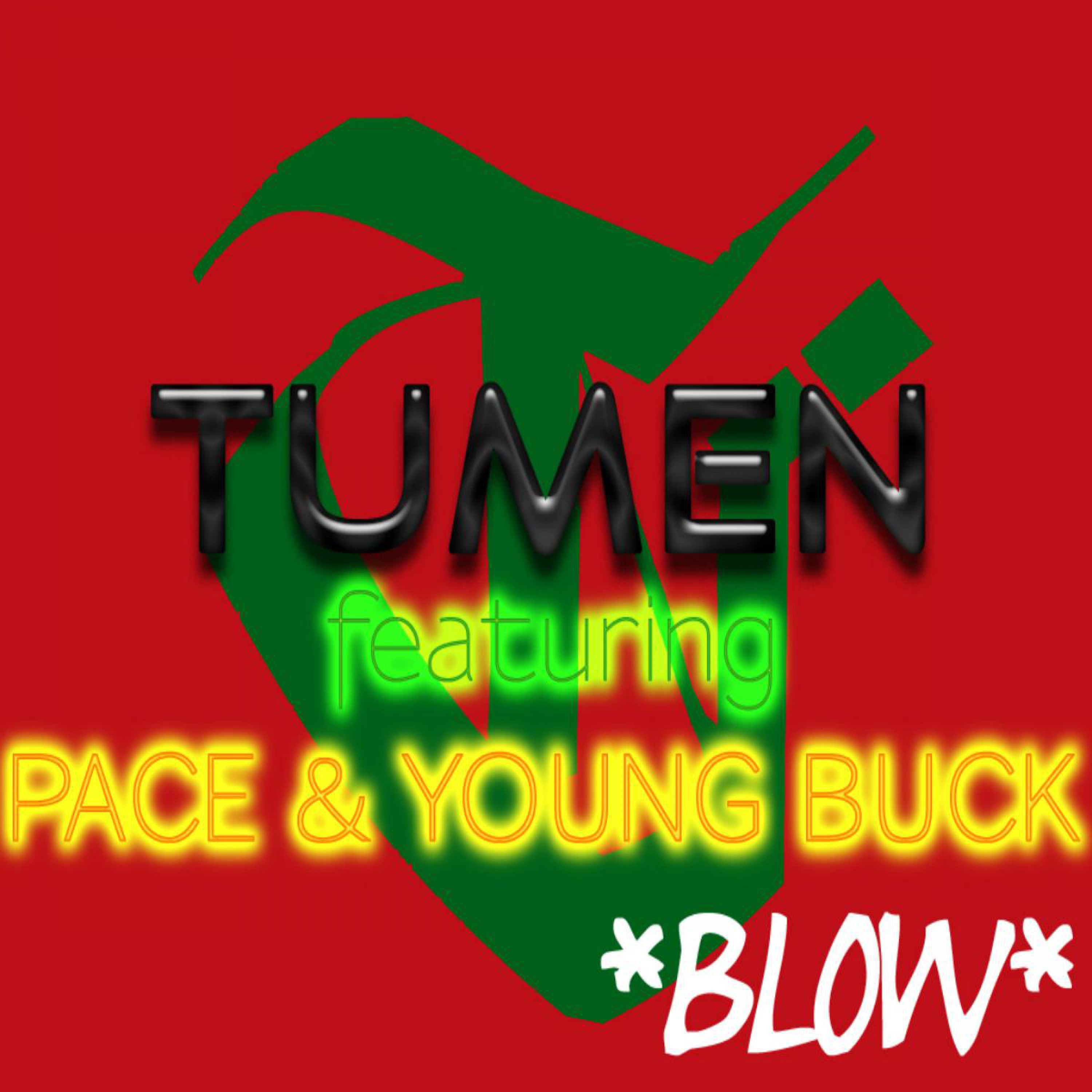 Blow (feat. Pace & Young Buck) - Single album cover