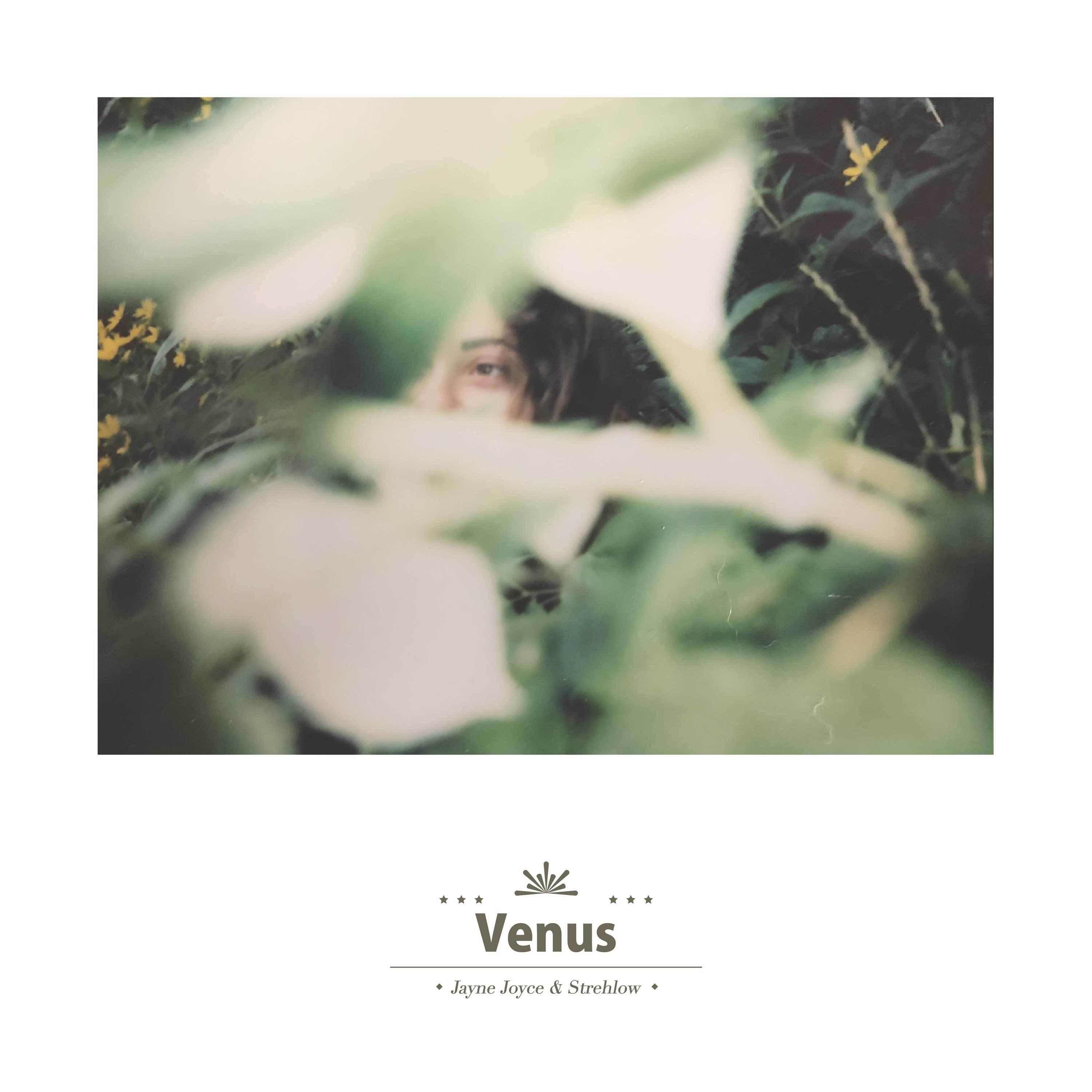 Venus (feat. Jayne Joyce) - Single album cover