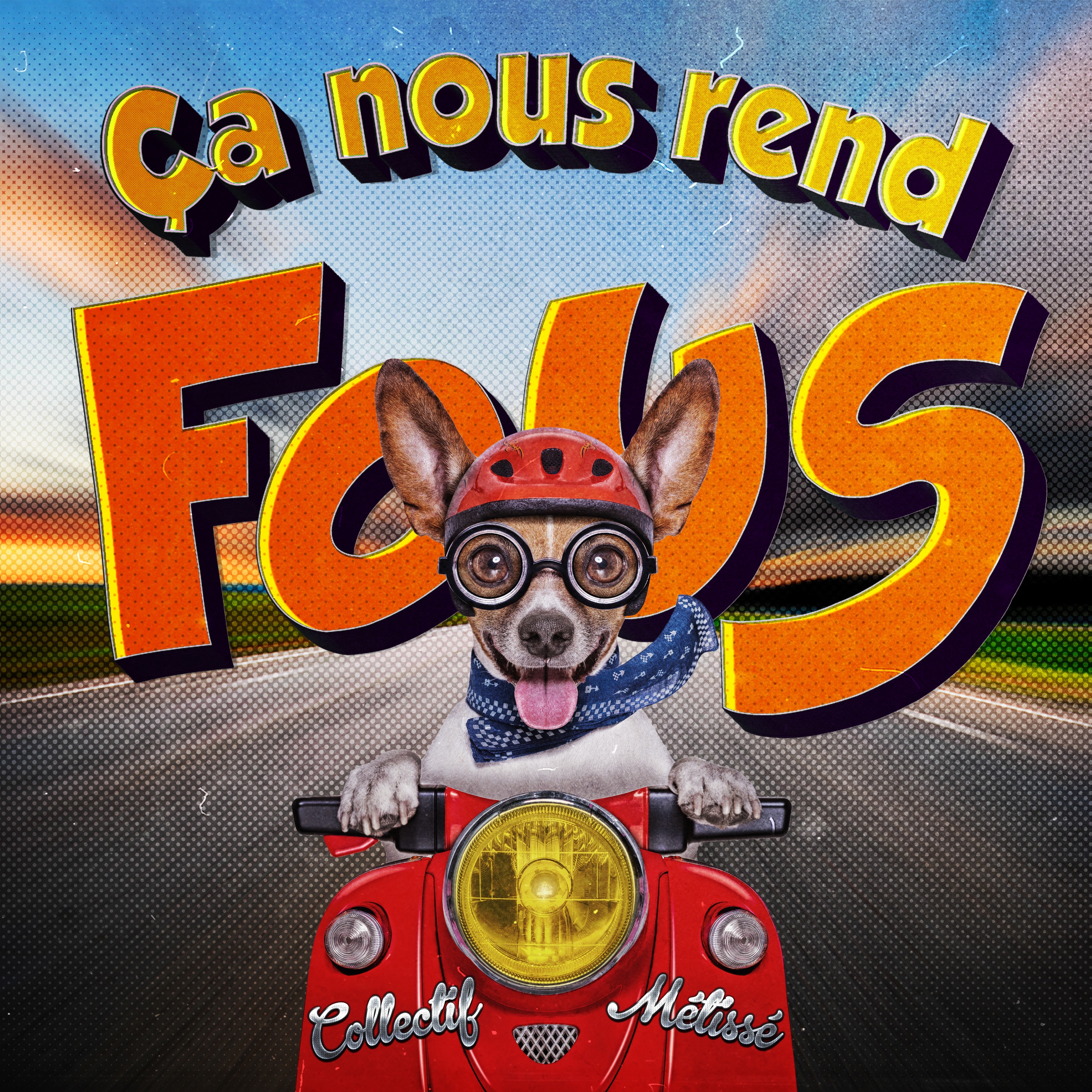 Ça nous rend fous album cover