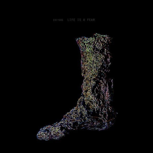 Life Is a Fear - Single album cover