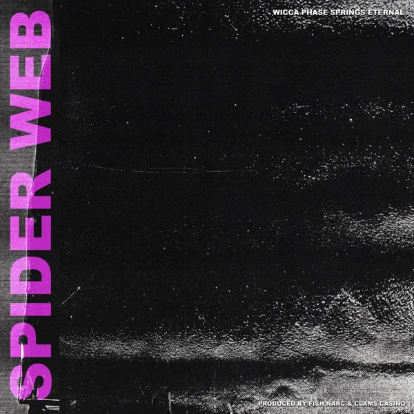 Spider Web - EP album cover