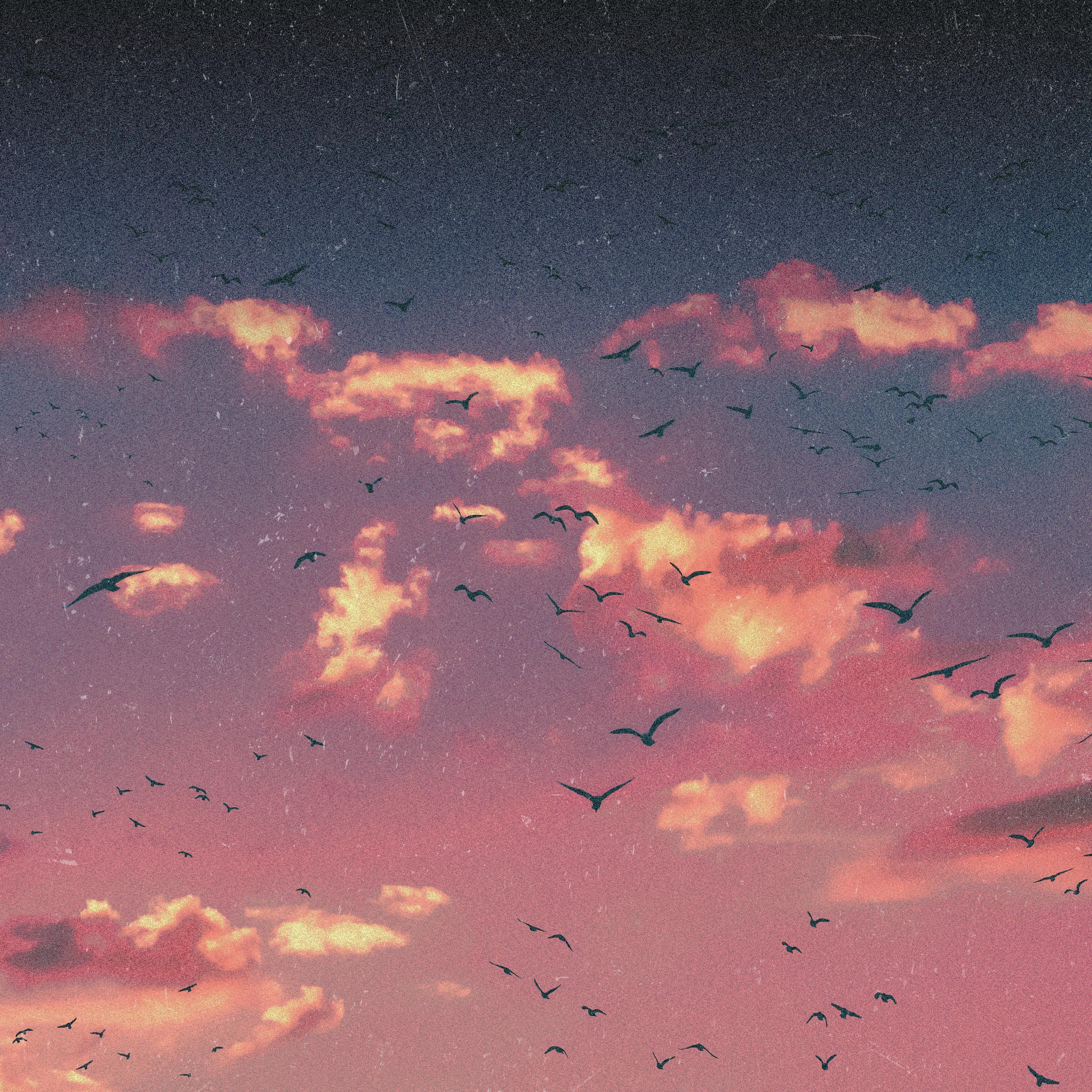 Memories Fade - Single album cover