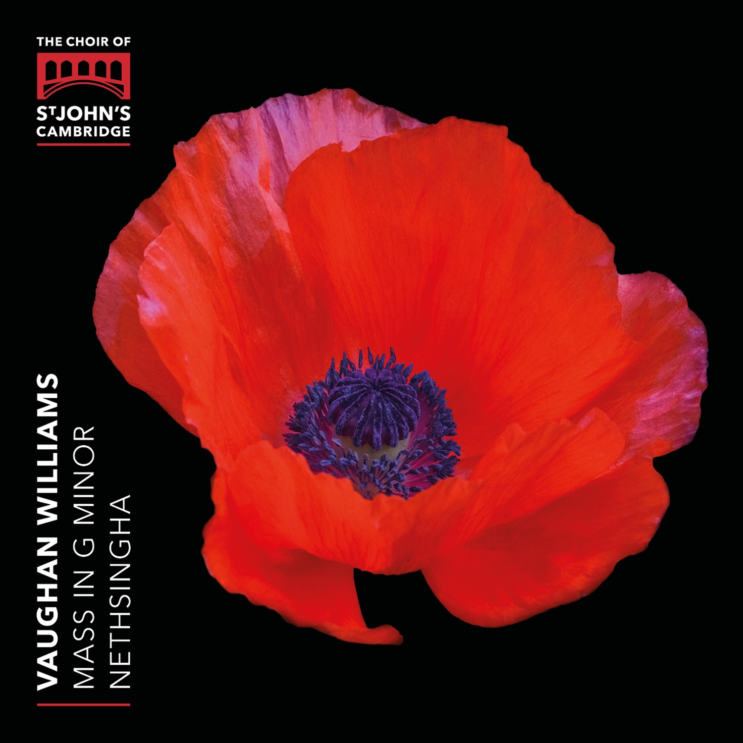 Vaughan Williams: Mass in G Minor album cover