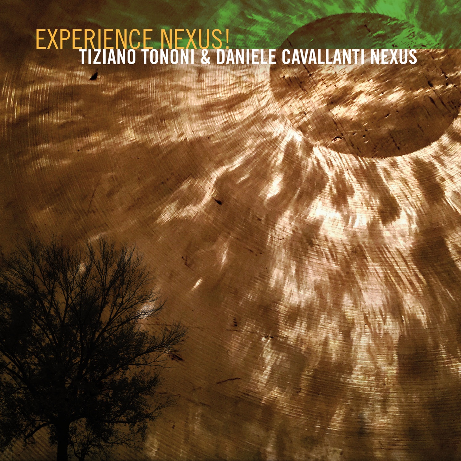 Experience Nexus! (feat. Emanuele Parrini, Francesco Chiapperini, Gabriele Mitelli, Pasquale Mirra & album cover
