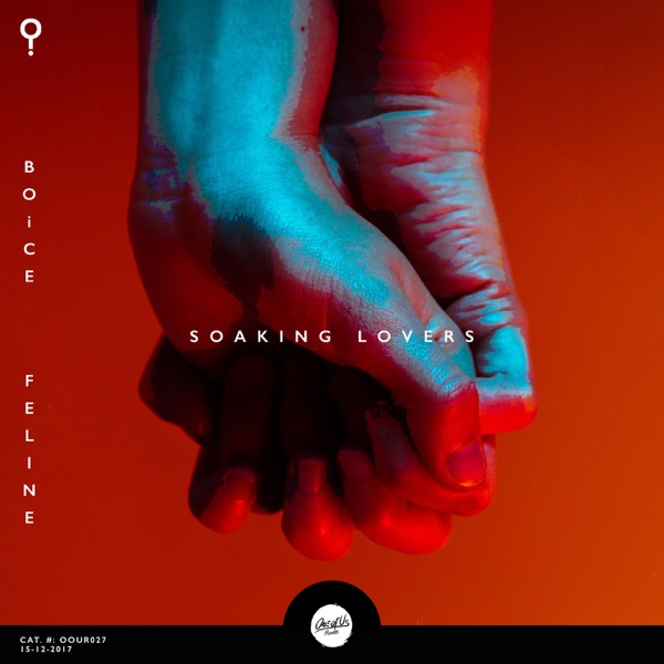 Soaking Lovers - Single album cover
