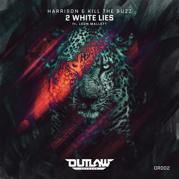 2 White Lies (feat. Leon Mallett) - Single album cover