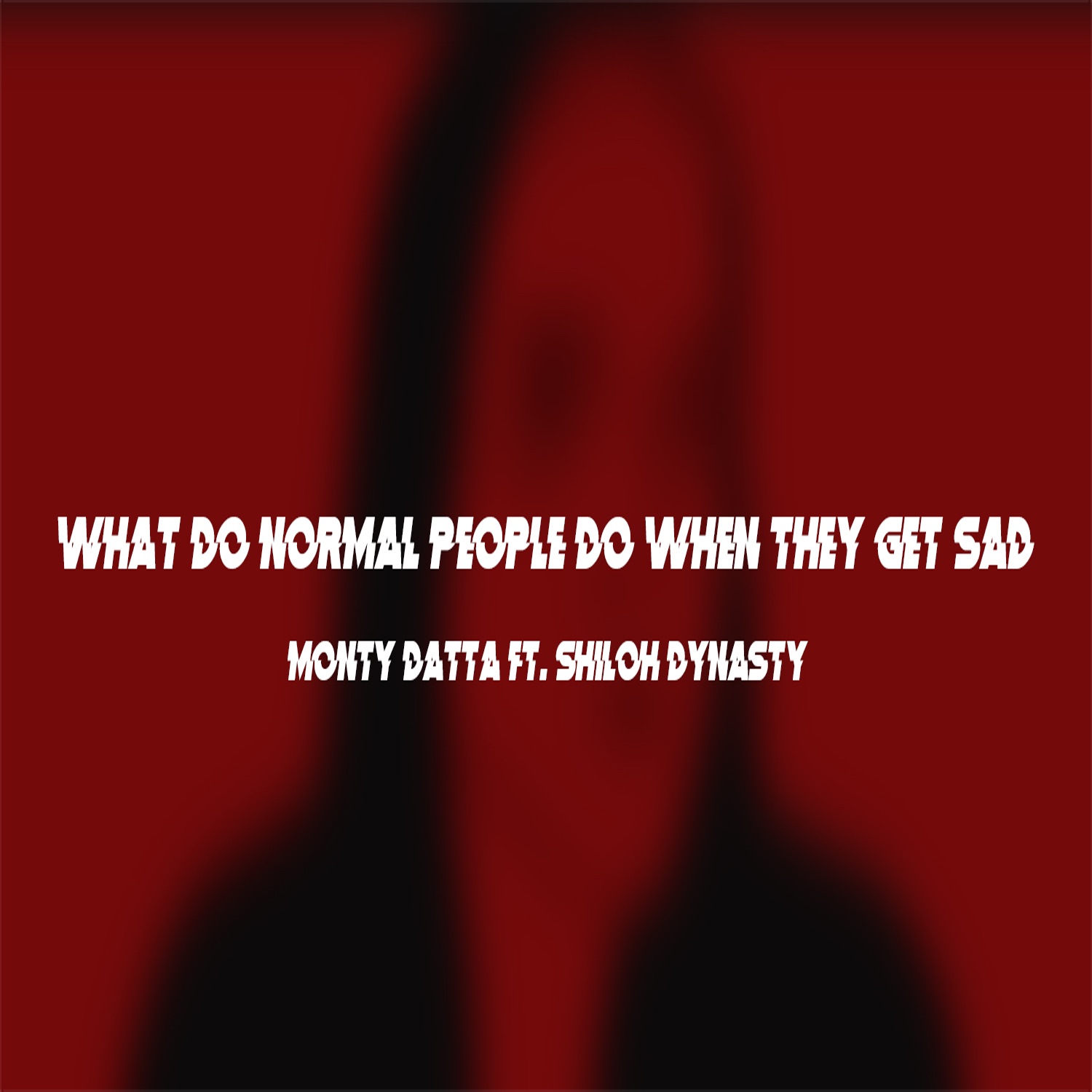 What Do Normal People Do When They Get Sad (feat. Shiloh Dynasty) - Single album cover