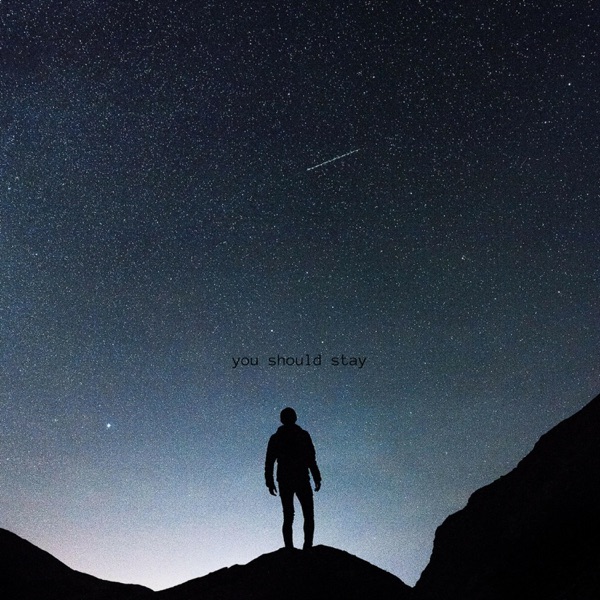 You Should Stay - Single album cover