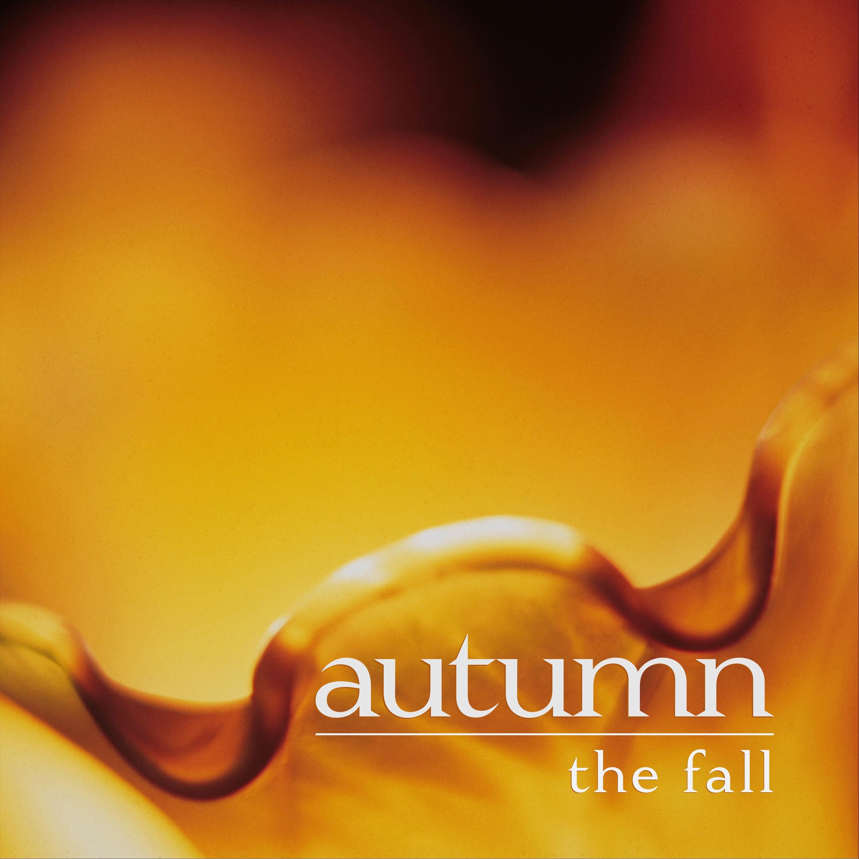 The Fall - Single album cover