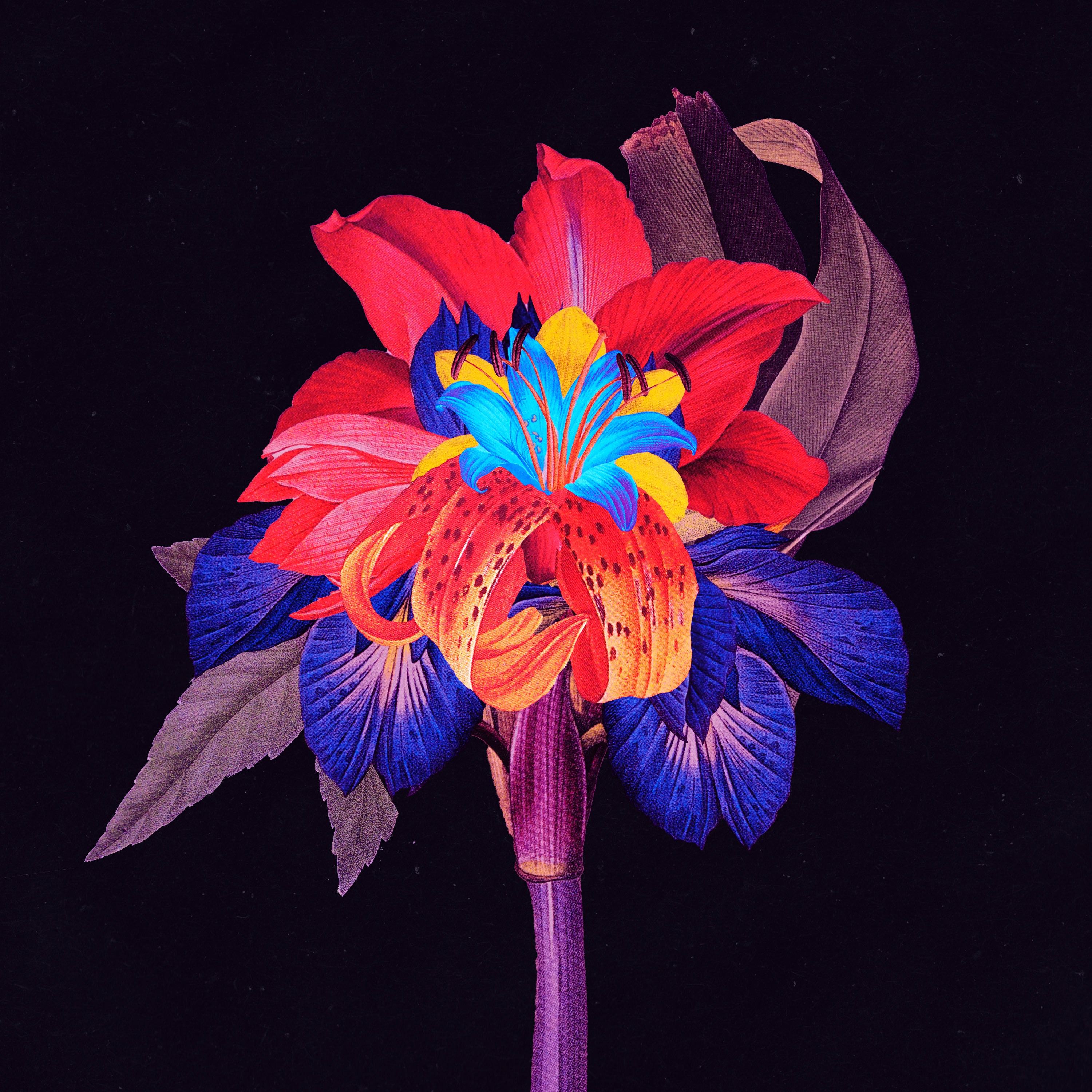 Nervous Tics [DJ Tennis Remix] - Single album cover