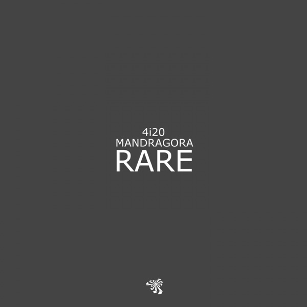 Rare - Single album cover
