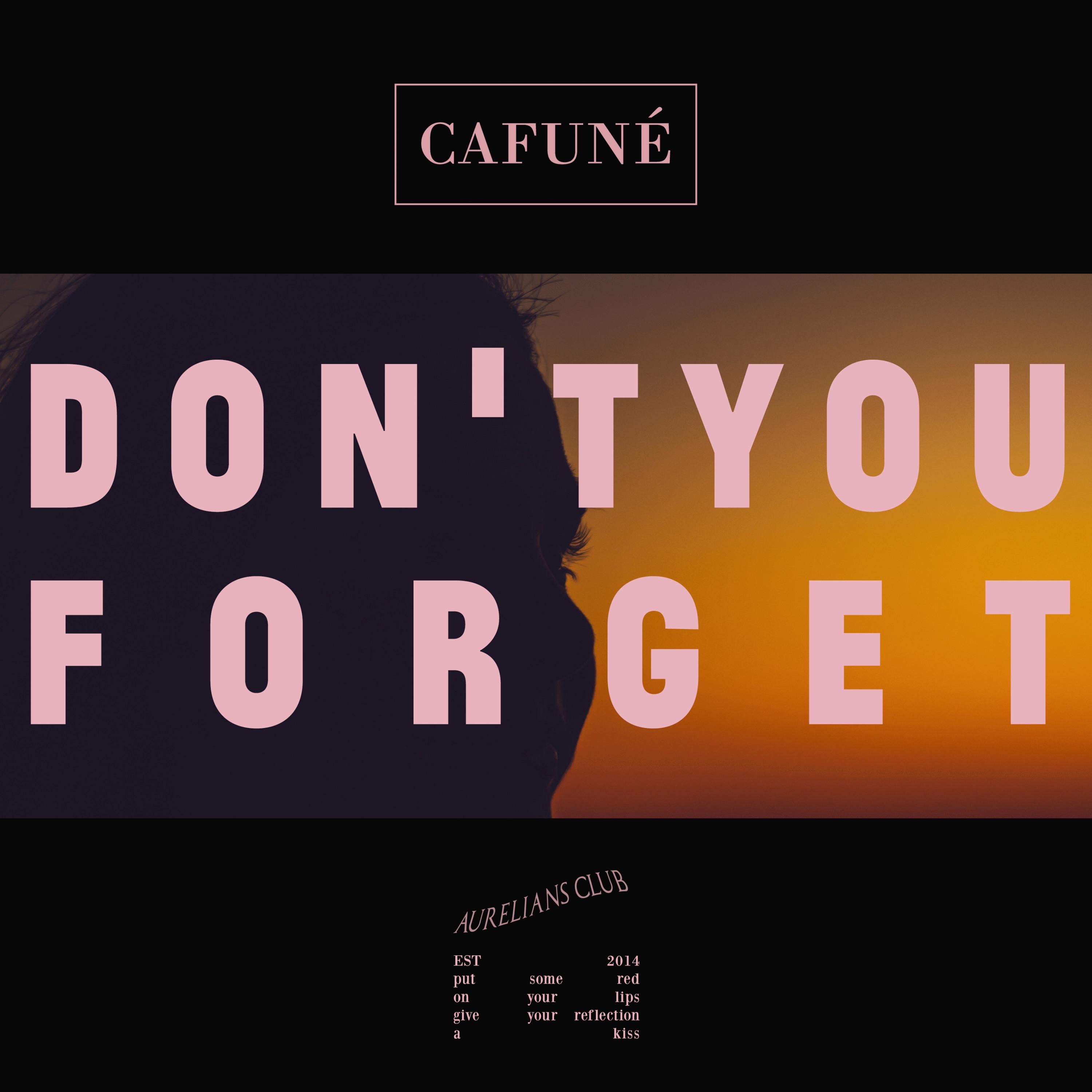 Don't You Forget - Single album cover