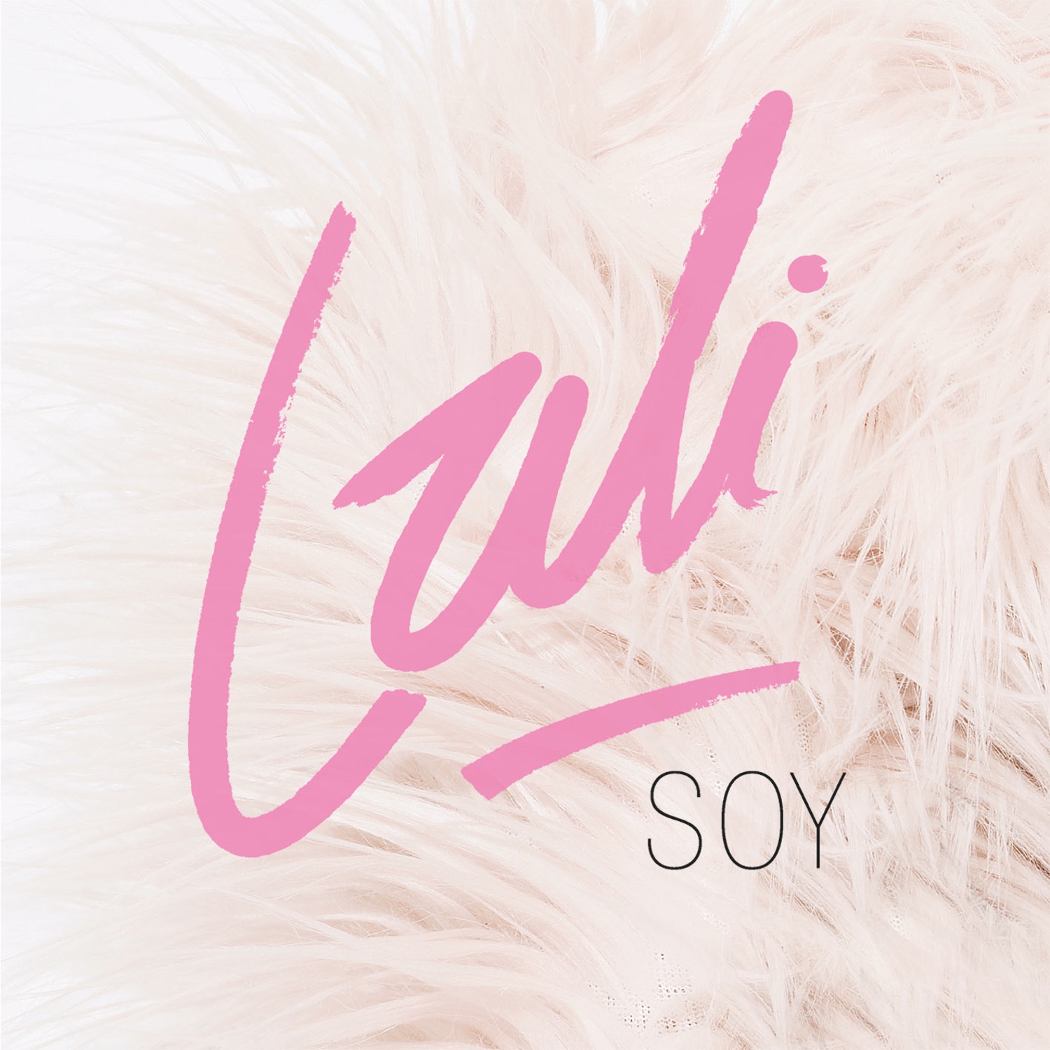 Soy - Single album cover