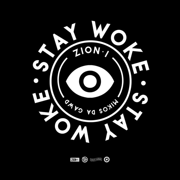 Stay Woke album cover