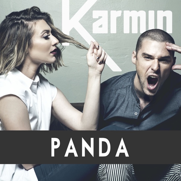 Panda (Remix) - Single album cover