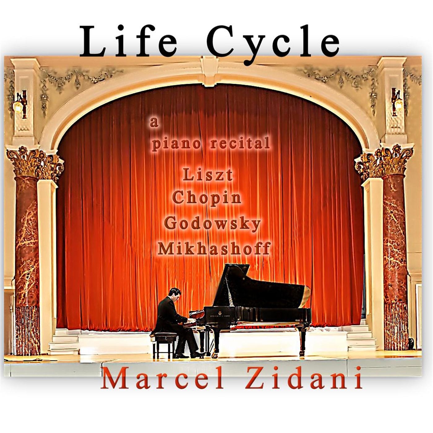 Life Cycle: A Piano Recital album cover