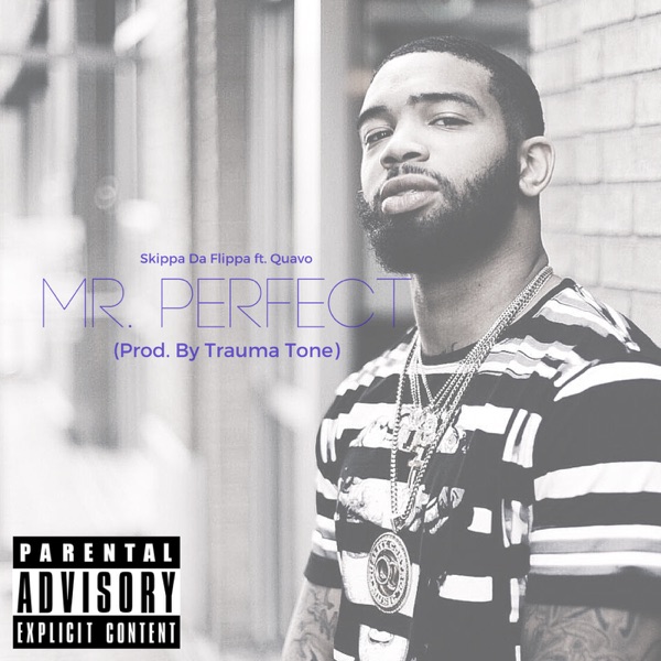 Mr. Perfect (feat. Quavo) - Single album cover