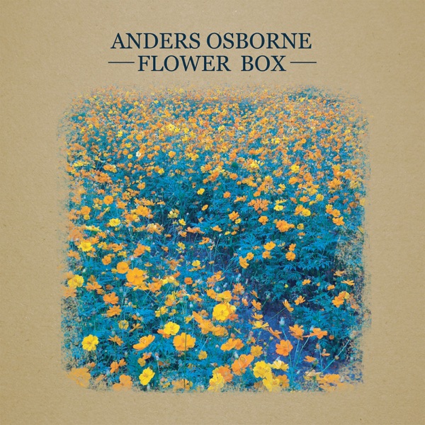 Flower Box album cover