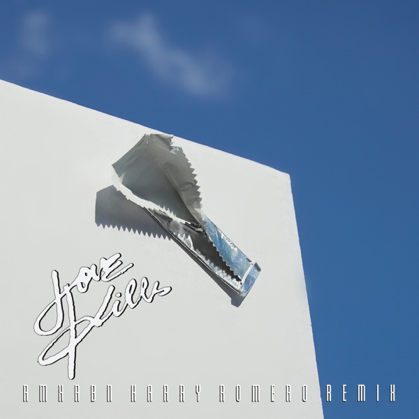 Love Kills (Harry Romero Remix) - Single album cover
