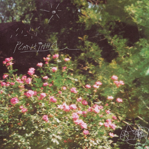 Plantinha - Single album cover
