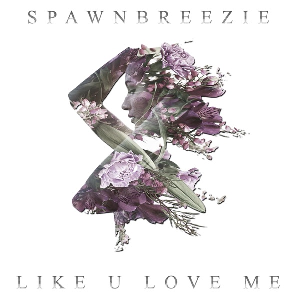 Like U Love Me - Single album cover