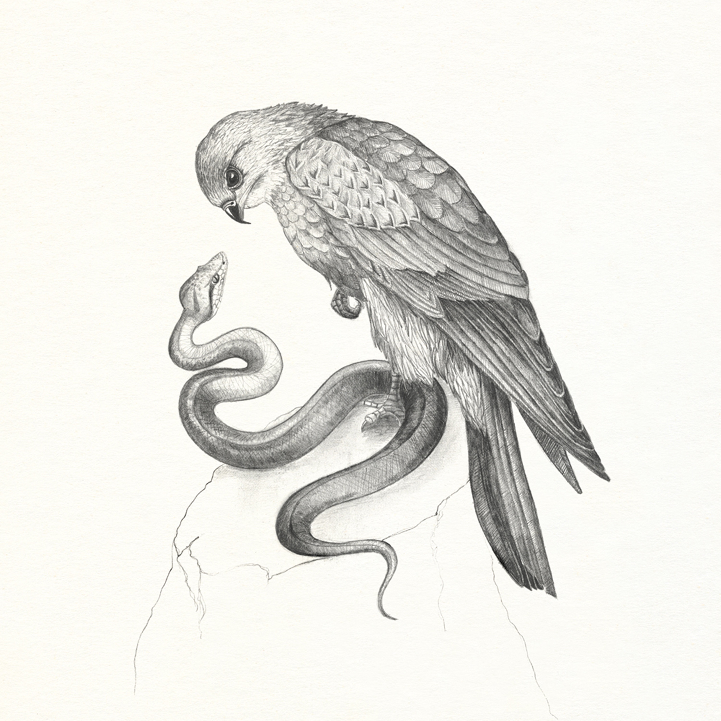 Savages - Single album cover