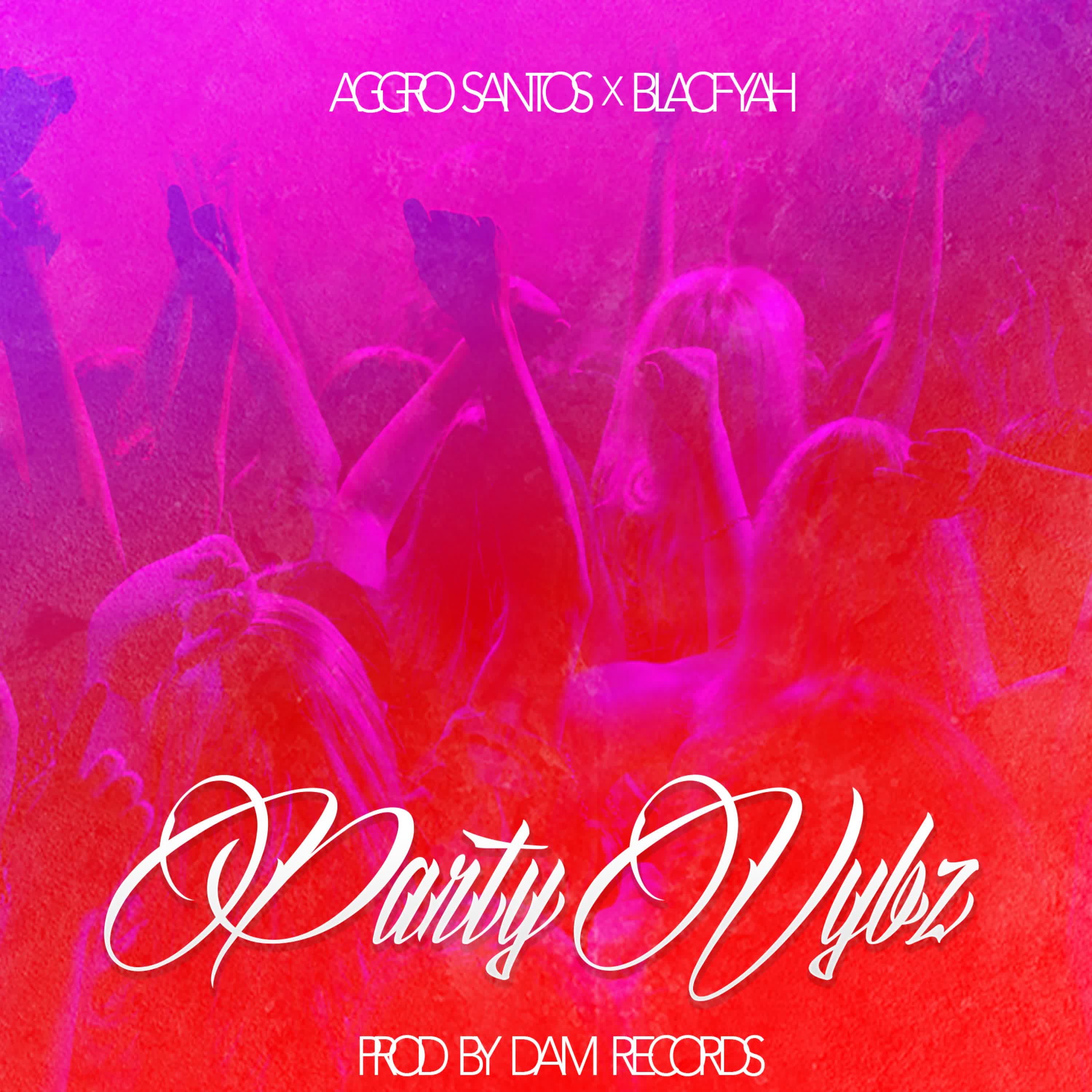 Party Vybz (feat. Aggro Santos & Blacfyah) - Single album cover