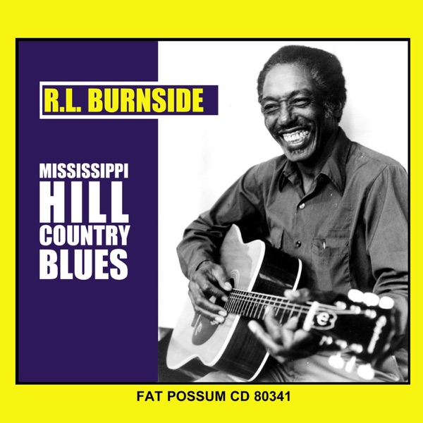 Mississippi Hill Country Blues album cover
