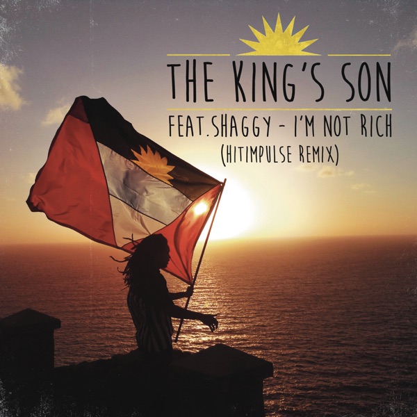 I'm Not Rich (feat. Shaggy) [Hitimpulse Remix] - Single album cover