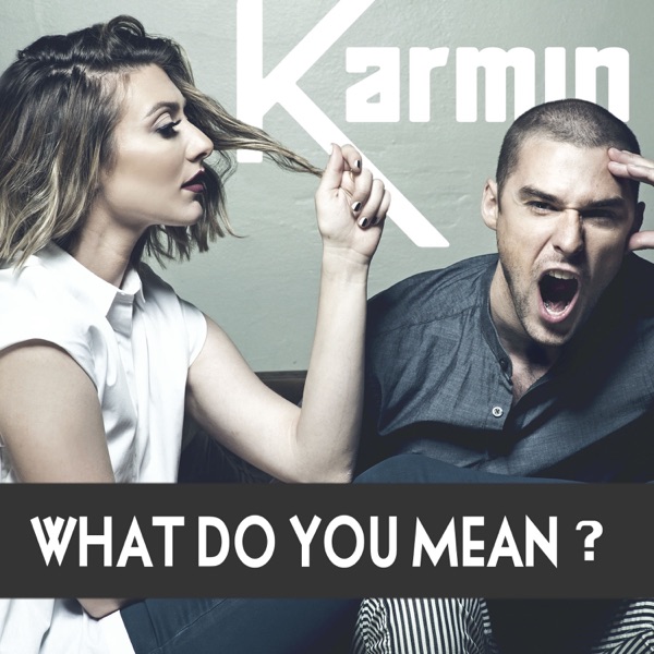 What Do You Mean? - Single album cover