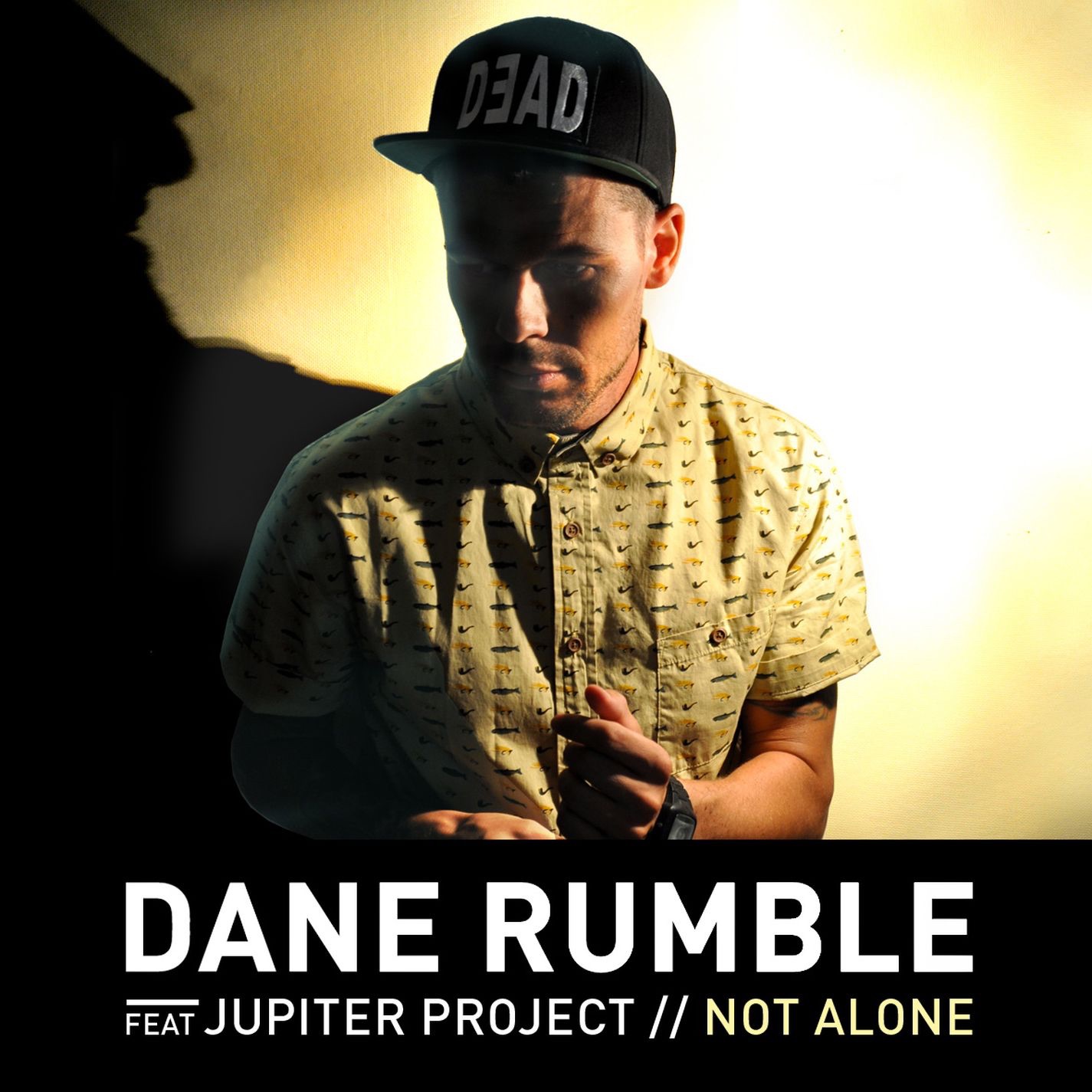 Not Alone (feat. Jupiter Project) - Single album cover