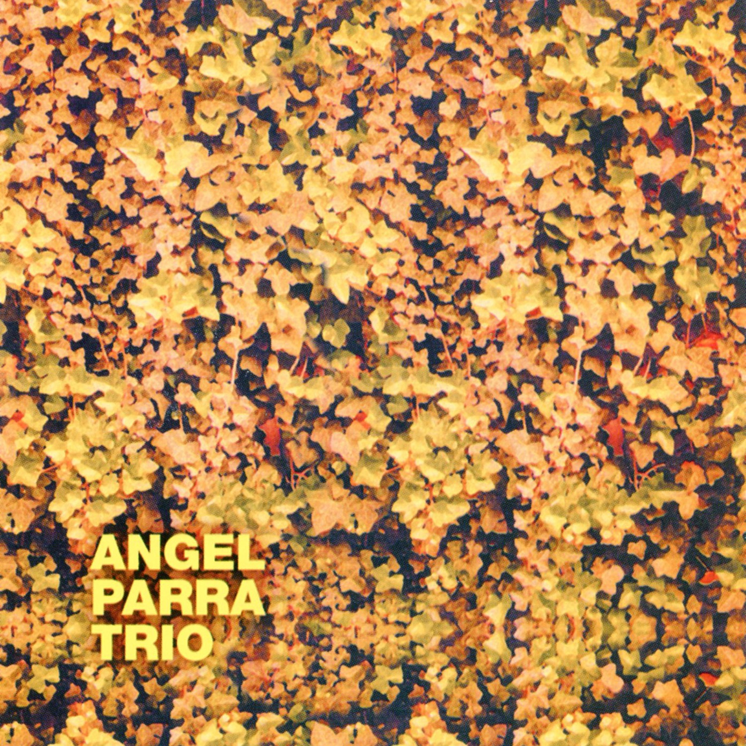 No Junta Ni Pega album cover