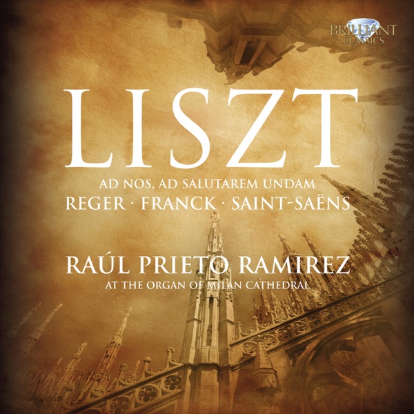Liszt: Organ Works album cover