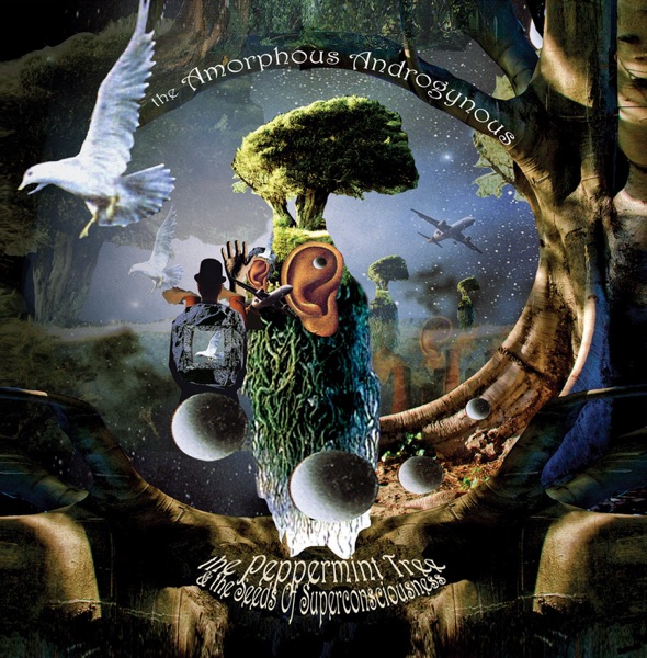 The Peppermint Tree & the Seeds of Superconsciousness album cover