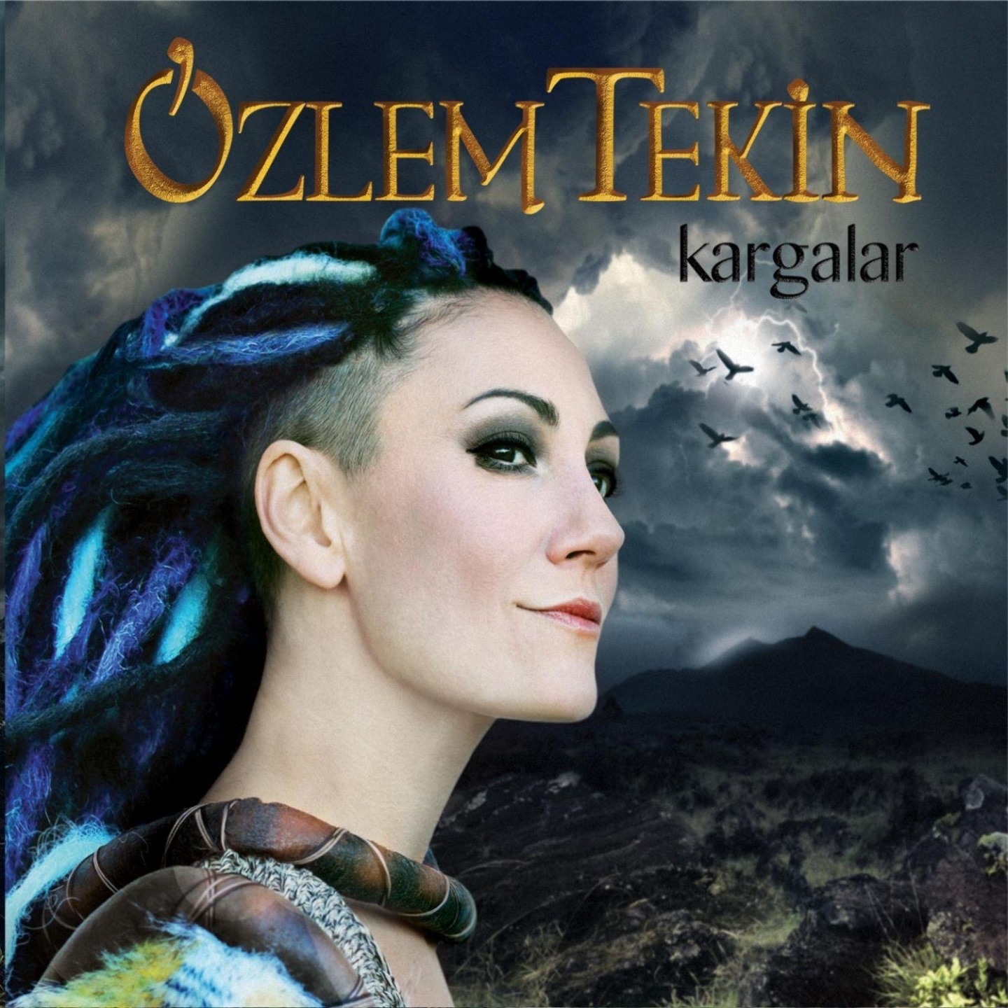 Kargalar album cover
