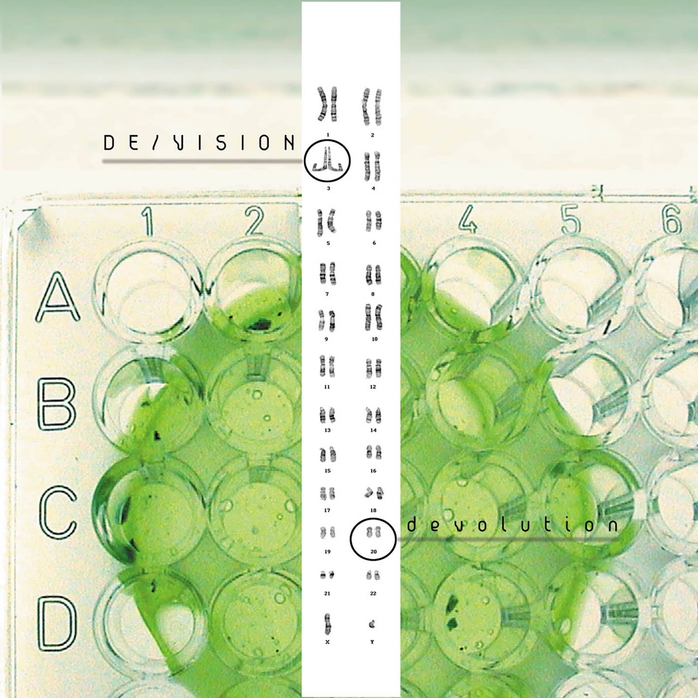 Devolution (Deluxe Edition) album cover
