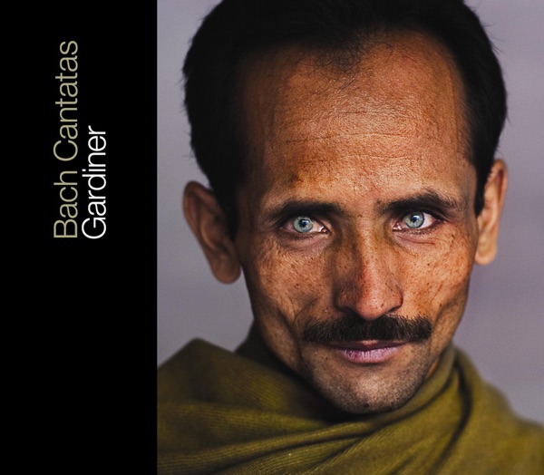 Bach: Cantatas, Vol. 28 album cover