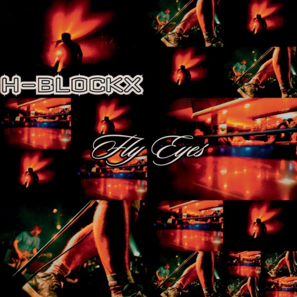 Fly Eyes album cover