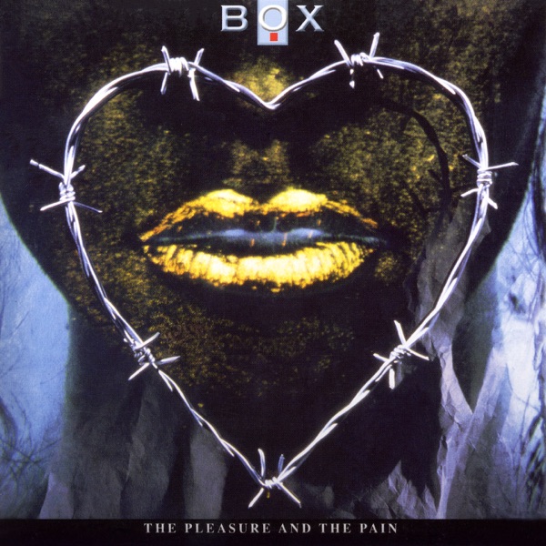 The Pleasure and the Pain album cover
