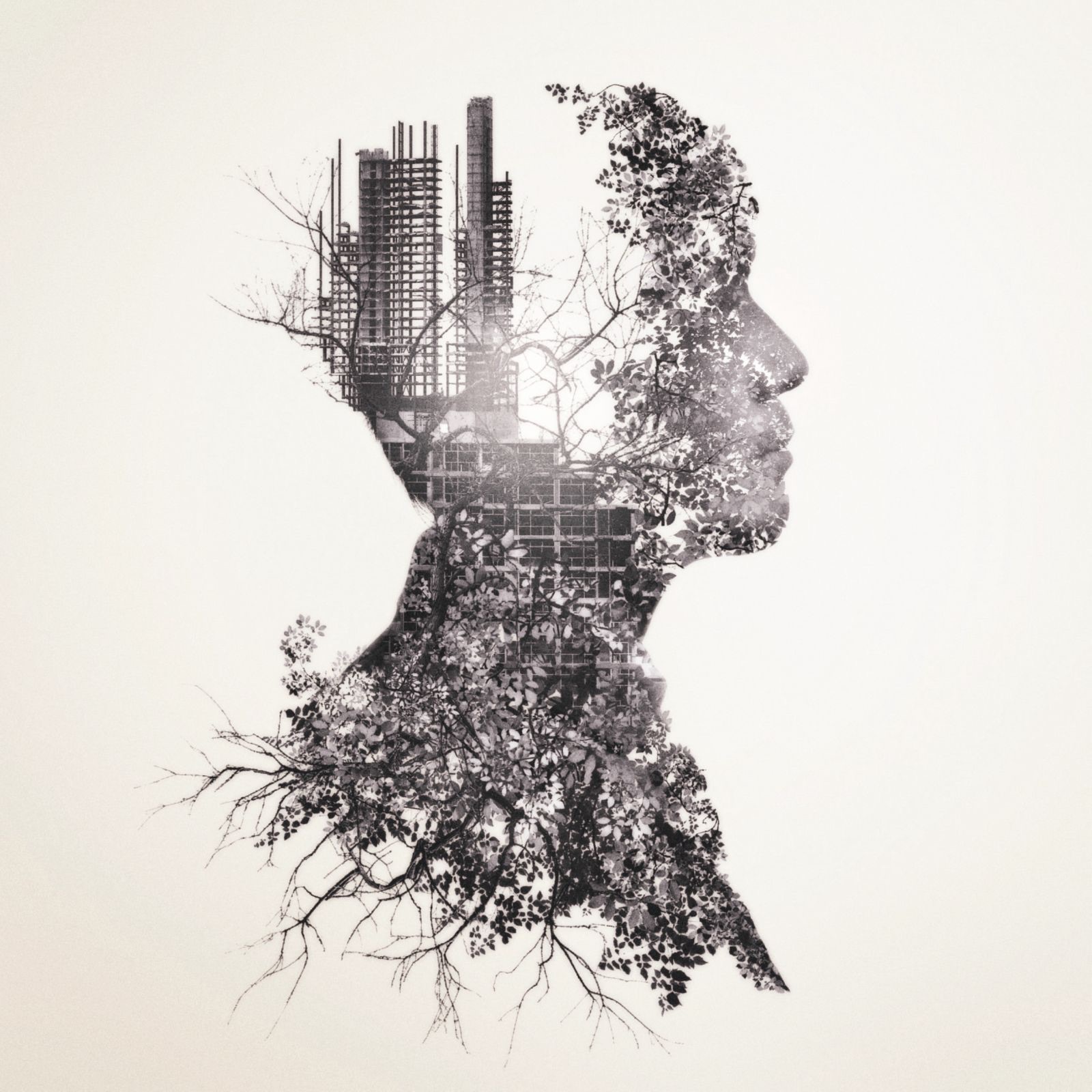 If - Single album cover
