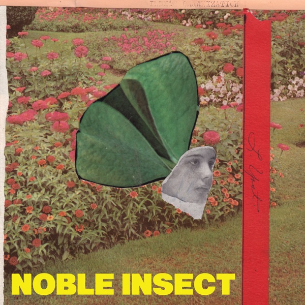 Noble Insect - Single album cover