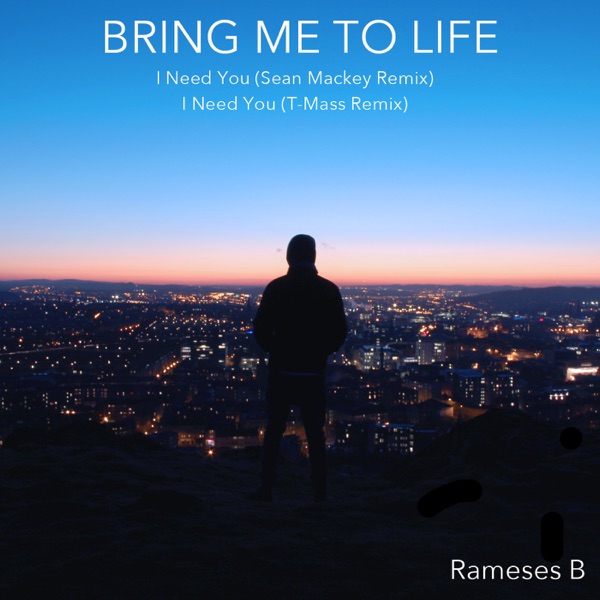 Bring Me To Life - Single album cover