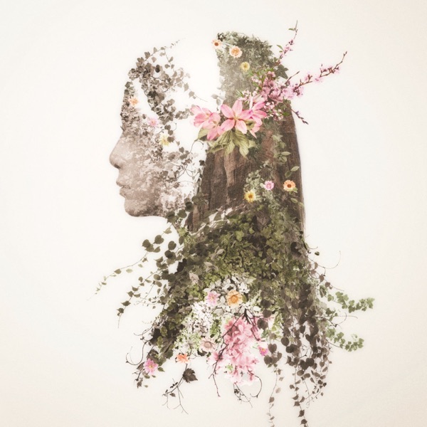 Story - Single album cover