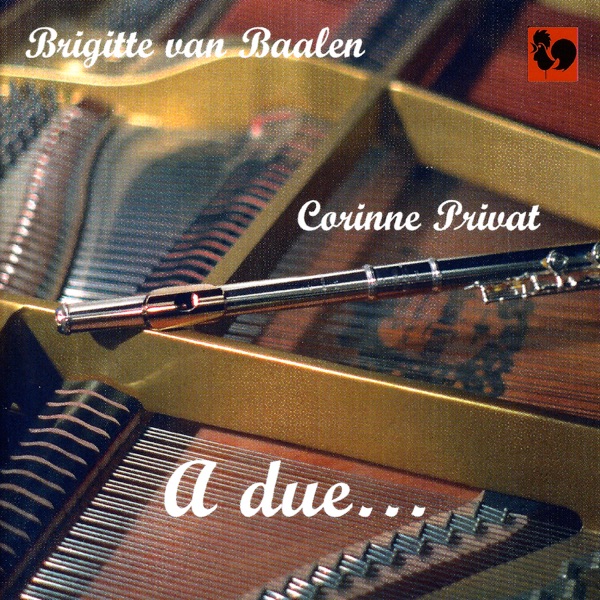 A due... album cover