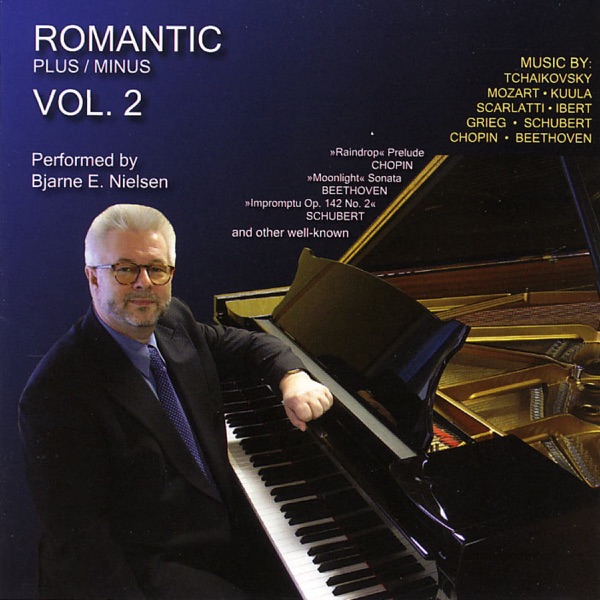 Romantic Plus / Minus vol. 2 album cover