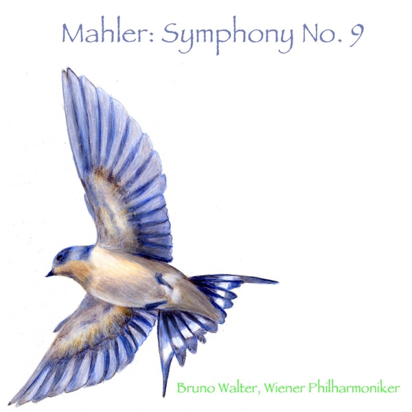 Mahler: Symphony No. 9 album cover