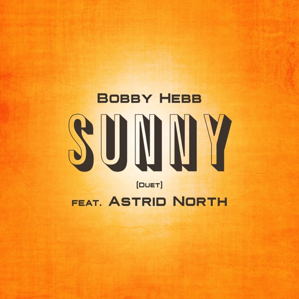 Sunny (Radio Edit) [with Astrid North] - Single album cover