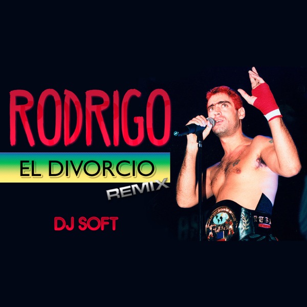 El Divorcio (Remix) - Single album cover