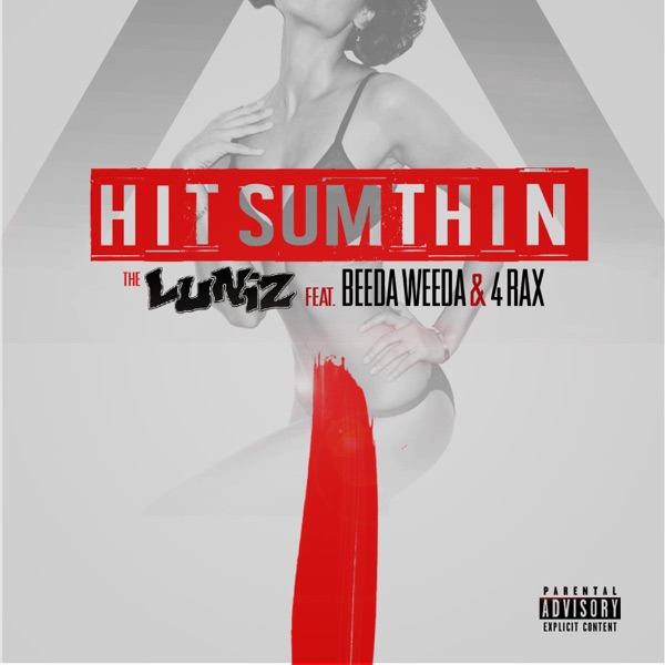 Hit Sumthin (feat. Beeda Weeda & 4rAx) - Single album cover